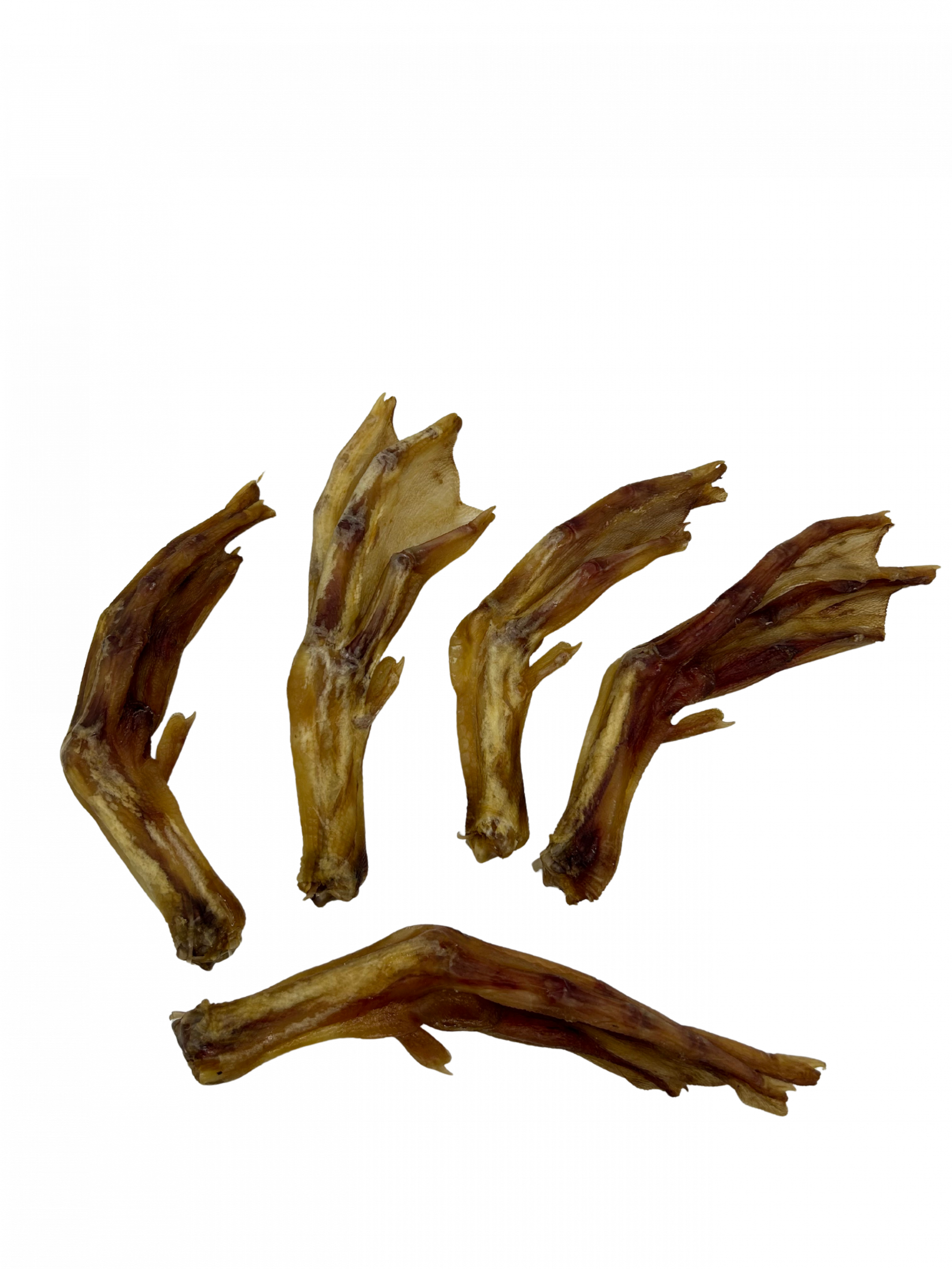 Duck Feet (5 pieces) - Image 3