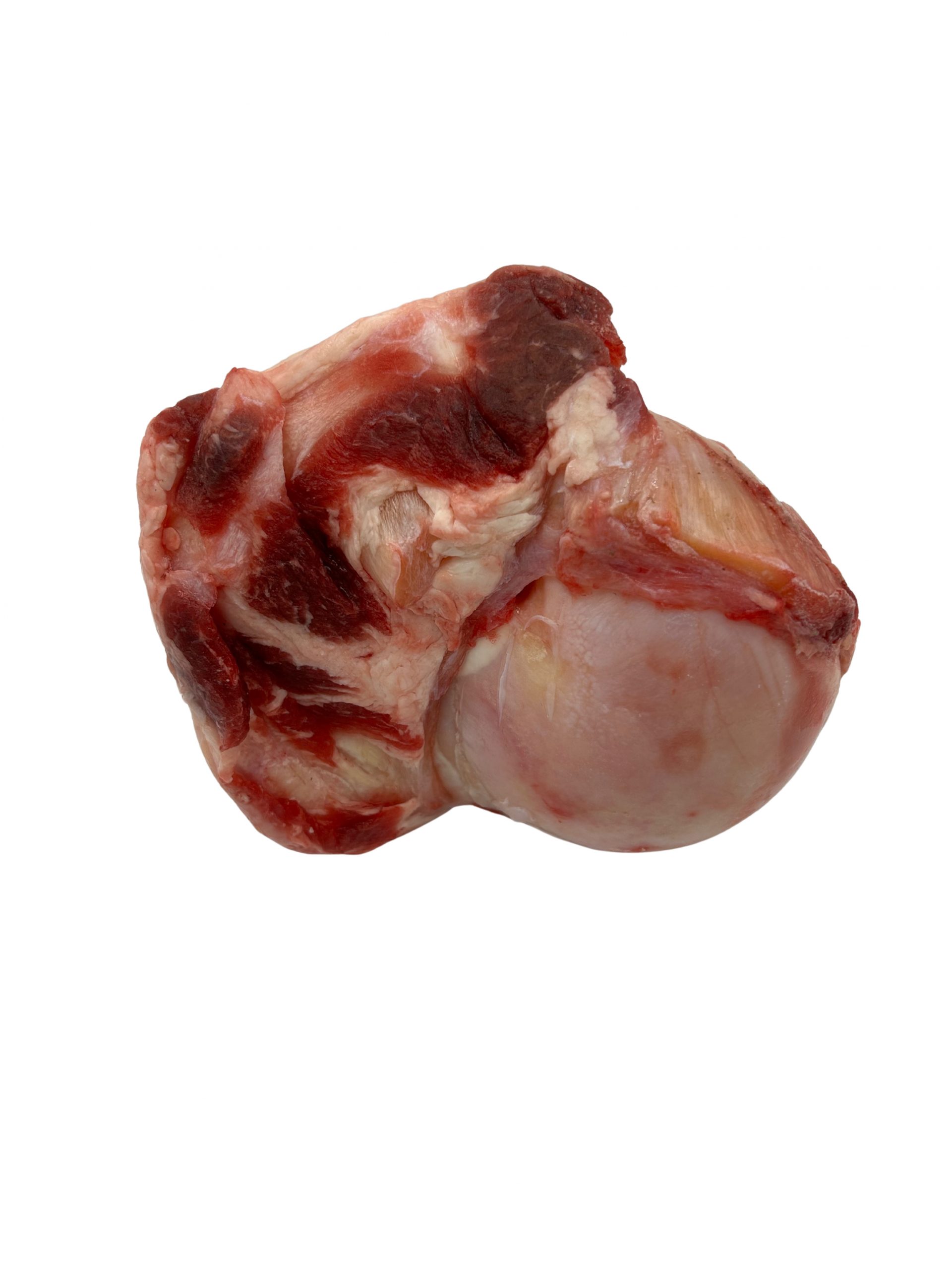 Raw Beef Bone (1 Piece) - Image 2